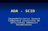 ADA - SCID