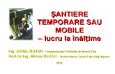 2_4 Bejan - Bujor- Santier - Inaltime 01.10 Scurt