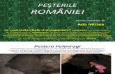 proiect Pesterile Romaniei