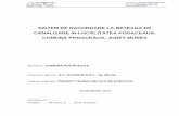 ACHIZITII PUBLICE Caiet de Sarcini - Sectiunea II - Cerinte Specifice