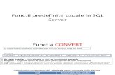 Functii Predefinite Uzuale in SQL