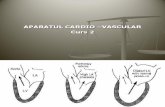 Aparatul Cardio-Vascular Curs 2