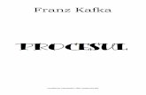 Procesul Franz Kafka PDF