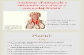Anatomia Chirurgicala a Sistemului Vascular Si Limfatic