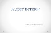 Audit Intern Suport de Curs ID 2013