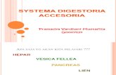Systema Digestoria Accesoria_pram
