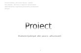 Proiect Pmc Kaizer
