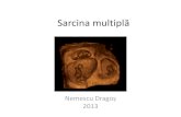 Sarcina Multipla Amg2014 Bacau
