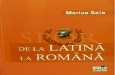 De La Latina La Romana, Marius Sala, 2012