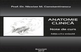 Anatomie Clinica