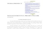Tema Proiect Managementul Proiectelor