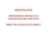 Hematologie Asm II Semiologia Splinei Si Ggl