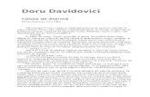 Doru Davidovici - Celula de Alarma