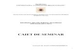 ATT_1399838673651_2. RPS Caiet Seminar Nou (1)