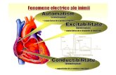 Curs 2 (Fenomene Electrice Cardiace)