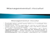 Managementul Registrul Riscurilor(1)
