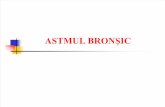 Astmul Bronsic Conf. Dr. Ioana Alexa (2)