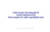 Codul Sinoptic International
