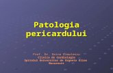 Patologia pericardului