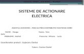 Sisteme de Actionare Electrica