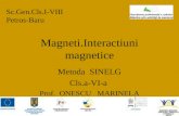 Magneti Interactiuni Magnetice-1