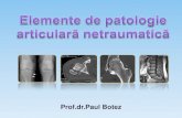 Elemente de Patologie Articulara Netraumatica Ppt