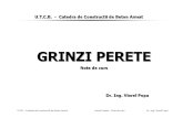 Curs Grinzi Perete 2008