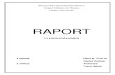 Raport Starnet