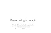 Pneumologie Curs 4