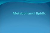 1 Metabolismul lipidic