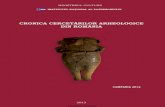 Cronica Cercetarilor Arheologice 2012