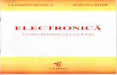 212677592 Indrumator Electronica Festila(1)