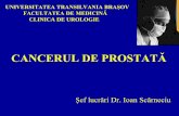 186496574 ADKp Cancerul de Prostata