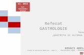 Referat Gastrologie - Alexandru Stanus