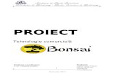 Proiect Bonsai
