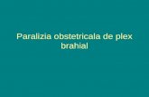 Paralizia Obstetricala de Plex Brahial