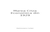 Marea Criza Economica Din 1929