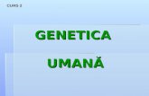 Curs 2 MG Organizarea Celulara a ADN