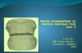 Modele de Lucru Pentru Microproteze Si Proteze Partiale