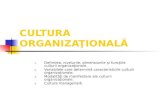 Cultura Organizationala (1)