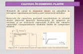CAP. 7-PRINCIPII DE CALCUL +ÄN DOMENIUL PLASTIC