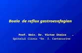 Boala de Reflux Gastroesofagian Prof. Dr. Stoica 2013
