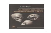 Anatomia Craniului in Practica Medico Legala