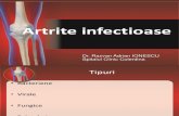 Artrite Infectioase Powerpoint