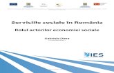 Raport Serviciile Sociale in Romania. Rolul Actorilor Economiei Sociale