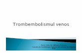 Curs 3 Trombembolismul Venos