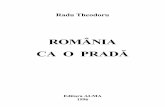 Romania CA o Prada Radu Theodoru
