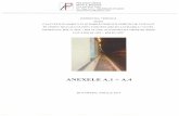Anexele A.1- A.4