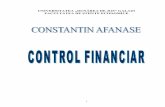 79665660 Control Financiar