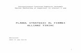 Plan Strategic Allianz Tiriac